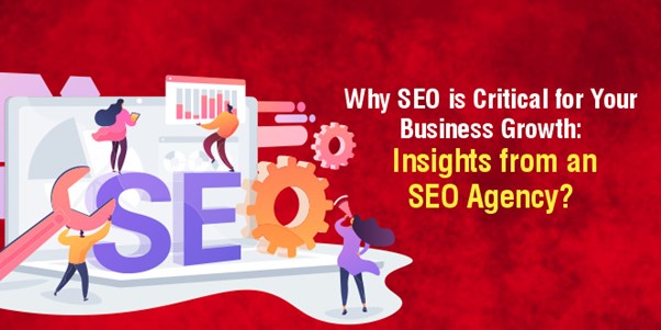 Insights from an SEO Agency